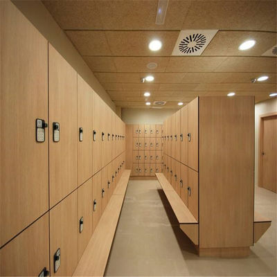 HPL Changing Room Locker , 12mm Double Door School Gym Lockers