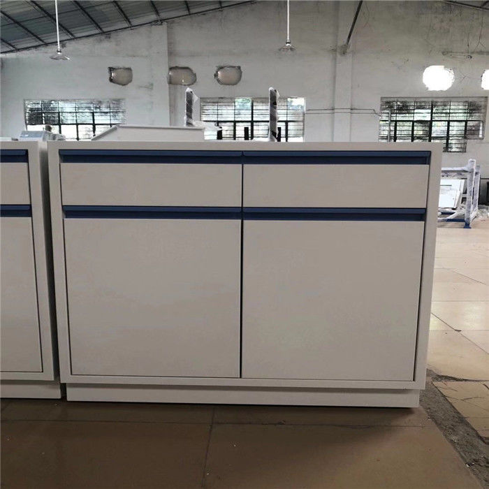 ISO9001 Steel Lab Cabinets With 2 Doors , 850mm Steel Lab Cabinets